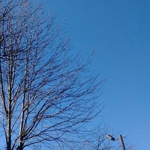 Meet your Posher, Carol